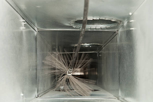 Best Air Duct Mold Removal  in Rensselaer, IN